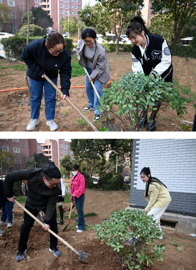 1719191938882859.png image.png