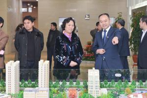 洛陽(yáng)新區(qū)黨工委書記高凌芝視察炎黃科技園